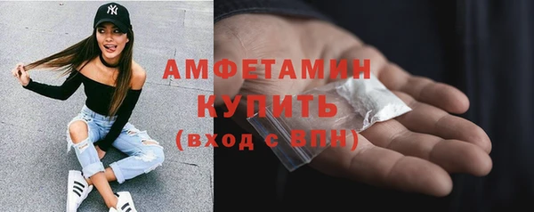 дмт Краснослободск