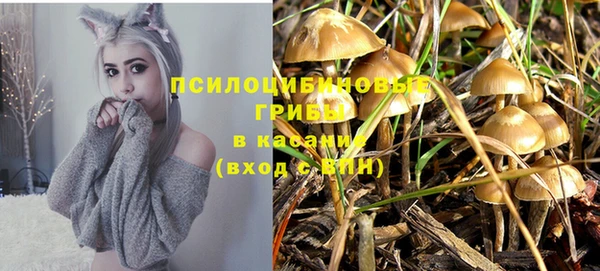 МДМА Козловка