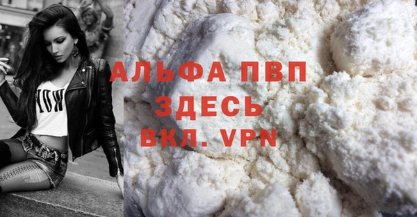 стаф Костерёво