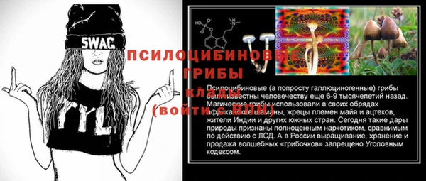 стаф Костерёво