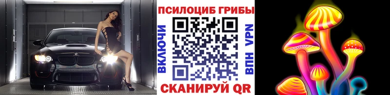 Галлюциногенные грибы MAGIC MUSHROOMS  OMG вход  Михайловка 